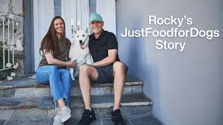 Helping a Malnourished Dog Recover and Thrive | JustFoodforDogs