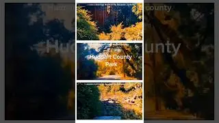 Huddart Park | San Mateo county | California
