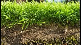 Water Movement in Soil - EGRP&reg; Presentation
