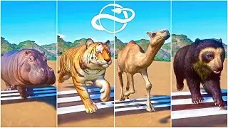 Camel, Tiger, Hippopotamus, Capybara, Bear and Other Wild Animals Racing in Brazilian Tropical Hills