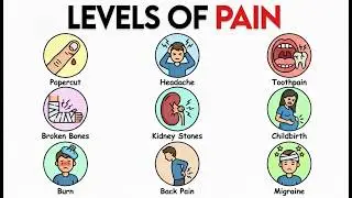 Every Type of Pain Explained in 9 Minutes