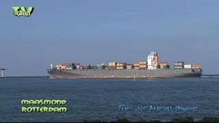 Maasgeul, Seaport Rotterdam: Maule containership outbound