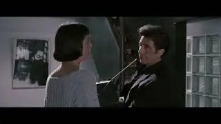 Al Pacino in Heat (1995) Vincent is very angry at Ralph (funny)