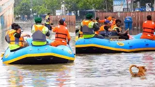 NDRF team tackles Delhi Flood rescue work in India's City of Canals!