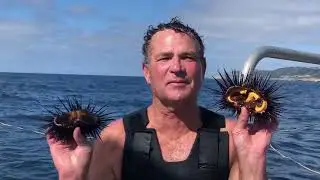 YouTube, Please Help Cliff Hawk