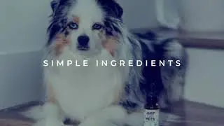 CBD Pet Treats Online &ndash; Shop Online Cbd Oil for Pets - JustCBD Store