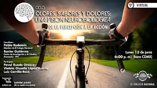 Ciclo Olores, sabores y dolores: una visión neurobiológica
