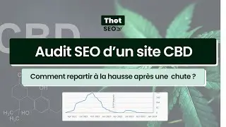 Audit SEO rapide d'un site CBD - se positionner sur un march&eacute; touchy