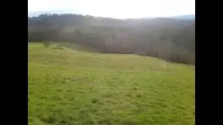video chasse sanglier  2013