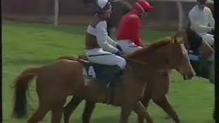 1990 Waterford Crystal Supreme Novices Hurdle - Cheltenham 13-03-1990