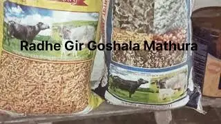 पतंजलि पशु आहार दुग्धामृत,सिल्वर मावा, Patanjali pashu aaharDugdhamrat,cilvar mava,#Feed#animals#gir