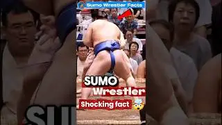 Sumo Wrestler Facts That Will Shock You 😱 | sumo wrestler facts | #SumoWrestling #shorts