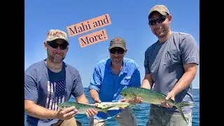 Hook'D Charters, Fishing Charter in Destin, Florida catches Mahi and more!