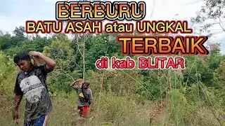 BERBURU BATU ASAH atau UNGKAL terbaik di kab BLITAR.