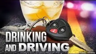 very cheap Rutherford Designated Drivers for wine tastingCalifornia