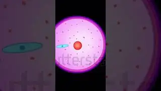 Fertilization process #pregnancy #shorts #sex