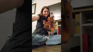 got my practice mute to be nice to the neighbors #violin #amateur #violinist #starwars #score