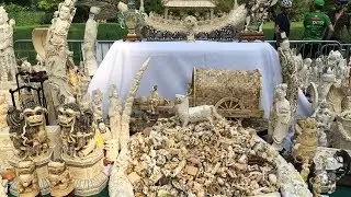 2 Tons of Ivory Get Crushed to Raise Awareness For Elephant Poaching