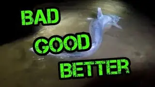 Fishing in the rain for catfish - bad good or better?
