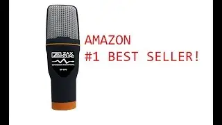 Zax Sound SF 666 Pro Review ($25 Dollar Microphone)