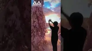 Milestrong Immersive LED Video Wall Screen