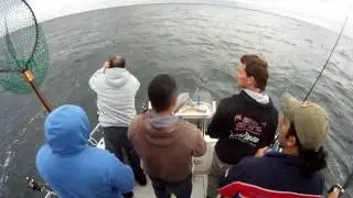 SNAPPER CHARTERS PORT PHILLIP BAY