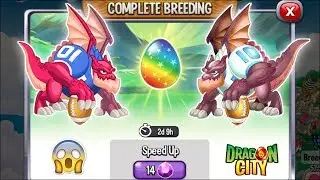 Dragon City: Touchdown Dragon vs Tackle Dragon [EXCLUSIVE BREEDING 2020] 😱
