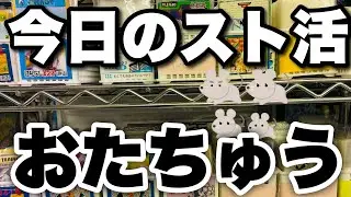 【ポケカストレージ】秋葉原のおたちゅうでスト活してきた。#ポケカ#ストレージ#スト活#おたちゅう