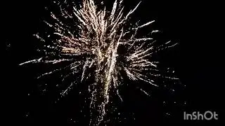 tiger king 16 sh albert feuerwerk/funke 10x