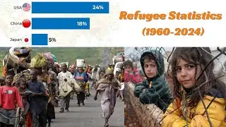 Refugee statistics by country from 1960 to 2024 | Data visualization
