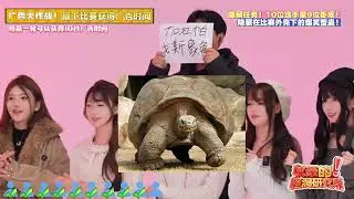 10位女生里9位卧底！女生互相整起来真的是下狠手啊… #搞笑 #自制综艺 #未来导演扶持计划 #小牛FS #真赛道很小牛
