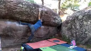 Albarrac&iacute;n gatoruga 7A