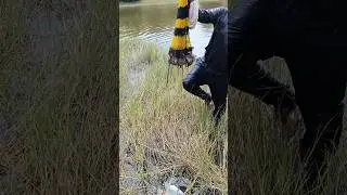fuimos a pescar y esto fue lo que cogimos 😱 |#viral #pesca #fishing #seguidores