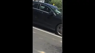 A Dog left in hot car