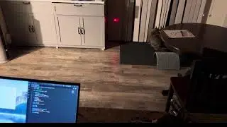 Automatic laser cat toy demo