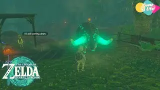 The SECRET Trick with Dondon in Tears of the Kingdom
