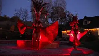 Samba Dancers Los Angeles- Heart of Samba Entertainment