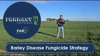 Barley Disease Fungicide Strategy