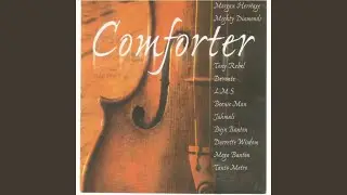 The Comforter