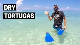 EXPLORING DRY TORTUGAS NATIONAL PARK | Journey to Florida's Hidden Gem