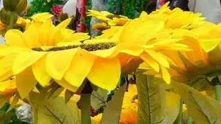 Seema Sharma is live!#😍🥰🌹🙏