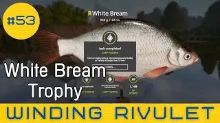 Russian Fishing 4 - Winding Rivulet - White Bream Trophy - #53