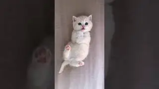 Yam yam yam yam