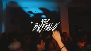 Chemical Surf, Dubdisko - I Wanna Do 🎺🔥🇲🇽 (Mini Clip Live) | Wild Bvffalo