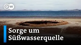 Droht der Titicacasee auszutrocknen? | DW Nachrichten