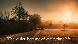 The quiet beauty of everyday life | Instrumental Music