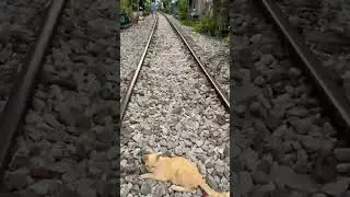 Life along railway tracks- Bangkok, Thailand #bangkok #thailand