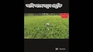 Drone spray in agriculture field.#agriculture #agro #paddy #spray # #bollywood #song #music #hindi