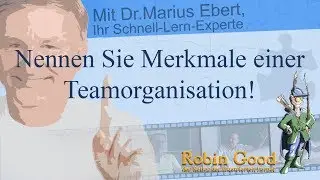 Nennen Sie Merkmale einer Teamorganisation!