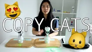 Copy Cats 😺😻 Fable Robot Demo